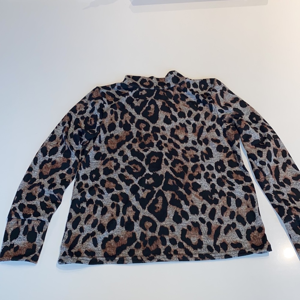 Boohoo Leopard Print Mock Turtleneck Top